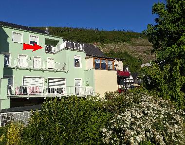 Appartement de vacances /en/au Zell Mosel (Mosel - Saar)ou appartement ou maison de vacances