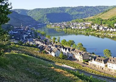 Appartement de vacances /en/au Zell Mosel (Mosel - Saar)ou appartement ou maison de vacances