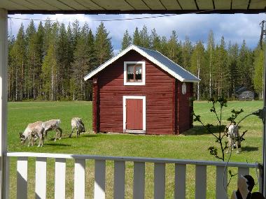 Maison de vacances /en/au Lansjrv nges (Norrbotten)ou appartement ou maison de vacances