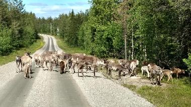 Maison de vacances /en/au Lansjrv nges (Norrbotten)ou appartement ou maison de vacances
