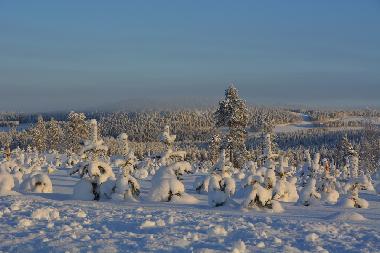 Maison de vacances /en/au Lansjrv nges Aspberg (Norrbotten)ou appartement ou maison de vacances