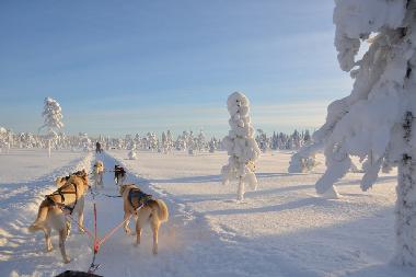 Maison de vacances /en/au Lansjrv nges Aspberg (Norrbotten)ou appartement ou maison de vacances
