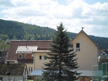 Appartement de vacances /en/au Benshausen (Thringer Wald)ou appartement ou maison de vacances