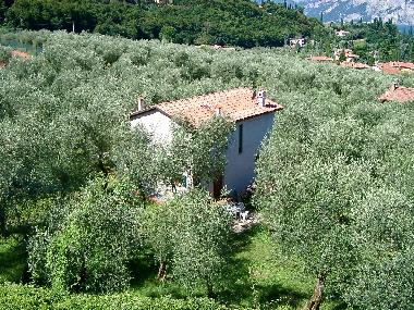 Appartement de vacances �/en/au Malcesine  (Verona)ou appartement ou maison de vacances