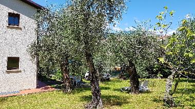 Appartement de vacances �/en/au Malcesine  (Verona)ou appartement ou maison de vacances