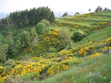 Maison de vacances �/en/au Saint-Jeure d