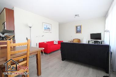 Appartement de vacances /en/au Noordwijk (Zuid-Holland)ou appartement ou maison de vacances