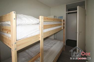 Appartement de vacances /en/au Noordwijk (Zuid-Holland)ou appartement ou maison de vacances