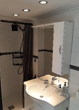 Maison de vacances /en/au Den Osse (Zeeland)ou appartement ou maison de vacances