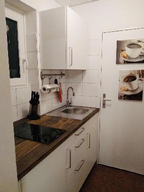 Appartement de vacances /en/au Feldberg-Brental (Schwarzwald)ou appartement ou maison de vacances