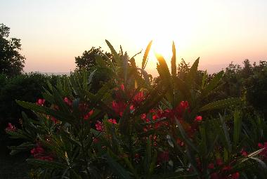 Appartement de vacances �/en/au Castellina Marittima (Pisa)ou appartement ou maison de vacances