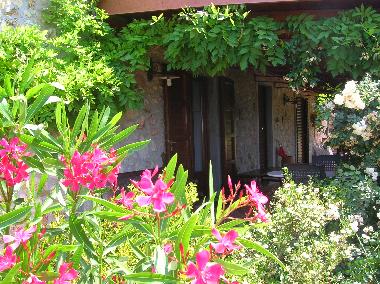 Appartement de vacances �/en/au Castellina Marittima (Pisa)ou appartement ou maison de vacances