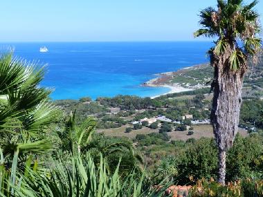 Appartement de vacances �/en/au Corbara  (Haute-Corse)ou appartement ou maison de vacances