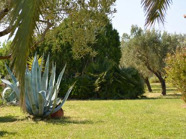 Villa �/en/au Psakoudia (Chalkidiki)ou appartement ou maison de vacances