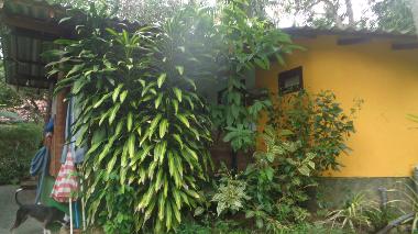 Maison de vacances �/en/au hikkaduwa (Galle)ou appartement ou maison de vacances