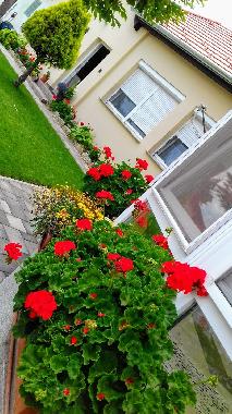 Appartement de vacances �/en/au B�k (Vas)ou appartement ou maison de vacances