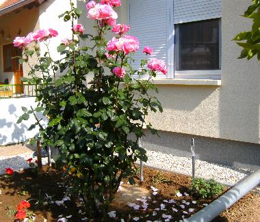 Maison de vacances �/en/au B�kf�rdő (Vas)ou appartement ou maison de vacances