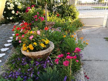 Appartement de vacances /en/au Vodice (Sibensko-Kninska)ou appartement ou maison de vacances