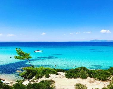 Maison de vacances �/en/au Psakoudia (Chalkidiki)ou appartement ou maison de vacances