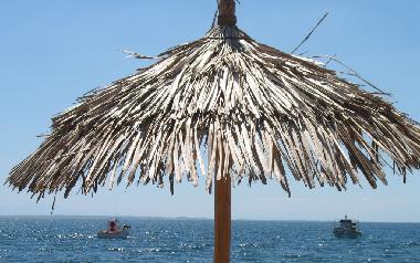 Maison de vacances /en/au Psakoudia (Chalkidiki)ou appartement ou maison de vacances