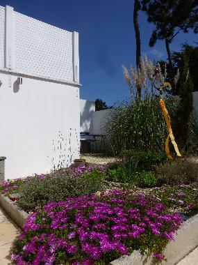 Maison de vacances �/en/au Br�tignolles-sur-Mer (Vend�e)ou appartement ou maison de vacances