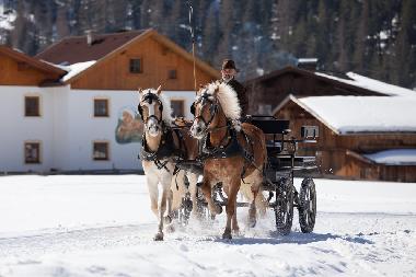 Appartement de vacances �/en/au Umhausen  (Tiroler Oberland)ou appartement ou maison de vacances