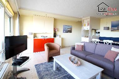 Appartement de vacances /en/au Noordwijk aan Zee  (Zuid-Holland)ou appartement ou maison de vacances