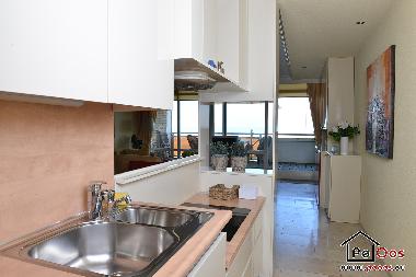 Appartement de vacances /en/au Noordwijk aan Zee  (Zuid-Holland)ou appartement ou maison de vacances