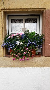Appartement de vacances /en/au Drrenbach (Pfalz)ou appartement ou maison de vacances