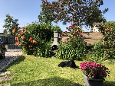 Maison de vacances �/en/au Brouwershaven (Zeeland)ou appartement ou maison de vacances