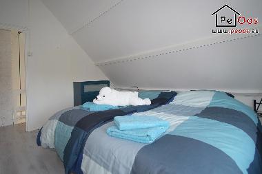 Maison de vacances /en/au Noordwijk (Zuid-Holland)ou appartement ou maison de vacances