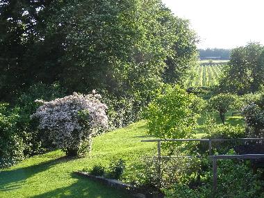 Appartement de vacances �/en/au Klosterneuburg, Kritzendorf (Wiener Umland/Nordteil)ou appartement ou maison de vacances