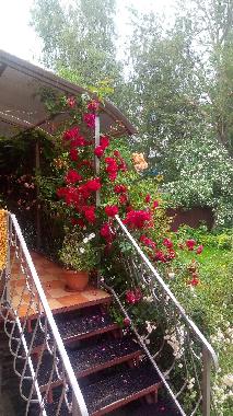 Appartement de vacances �/en/au Selenogradsk  (Kaliningradskaya Oblast)ou appartement ou maison de vacances