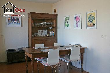Appartement de vacances �/en/au Noordwijk aan Zee (Zuid-Holland)ou appartement ou maison de vacances
