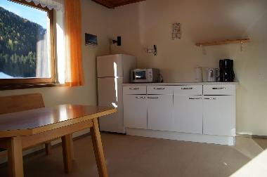 Maison de vacances /en/au Schladming (Westliche Obersteiermark)ou appartement ou maison de vacances