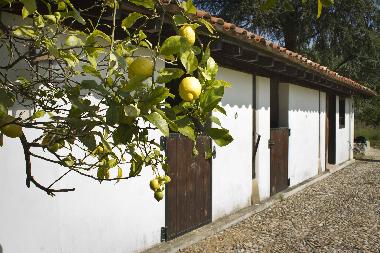Maison de vacances �/en/au Bustio - Ribadedeva (Asturias)ou appartement ou maison de vacances
