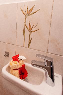 Appartement de vacances /en/au Fusch (Pinzgau-Pongau)ou appartement ou maison de vacances