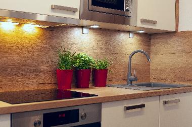 Appartement de vacances /en/au Fusch (Pinzgau-Pongau)ou appartement ou maison de vacances