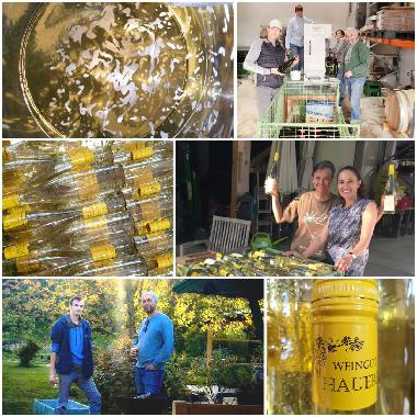 Appartement de vacances /en/au Klosterneuburg, Kritzendorf (Wiener Umland/Nordteil)ou appartement ou maison de vacances