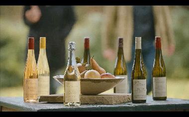 Appartement de vacances /en/au Klosterneuburg, Kritzendorf (Wiener Umland/Nordteil)ou appartement ou maison de vacances