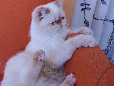 Appartement de vacances �/en/au Tel Aviv (Tel Aviv)ou appartement ou maison de vacances