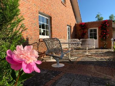 Maison de vacances /en/au Haselnne (Emsland)ou appartement ou maison de vacances