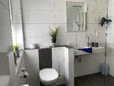 Maison de vacances /en/au Haselnne (Emsland)ou appartement ou maison de vacances