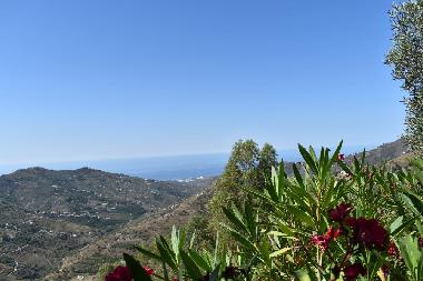 Maison de vacances /en/au Competa (Mlaga)ou appartement ou maison de vacances