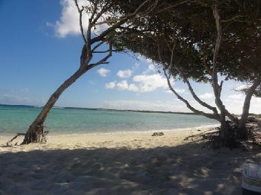 Maison de vacances �/en/au Noord (Aruba)ou appartement ou maison de vacances