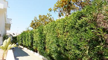 Maison de vacances �/en/au torre suda (Lecce)ou appartement ou maison de vacances