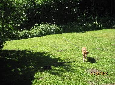Appartement de vacances �/en/au Scharbeutz  - Klingberg (Holsteinische Schweiz)ou appartement ou maison de vacances