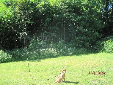 Appartement de vacances /en/au Scharbeutz-Klingberg (Holsteinische Schweiz)ou appartement ou maison de vacances