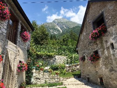 Maison de vacances /en/au Ponte nelle Alpi/Belluno (Belluno)ou appartement ou maison de vacances