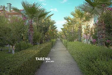 Maison de vacances �/en/au Antalya/Belek/Bogazkent (Antalya)ou appartement ou maison de vacances
